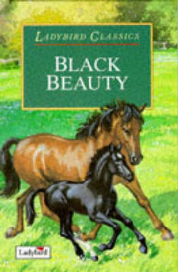 Picture of Black Beauty