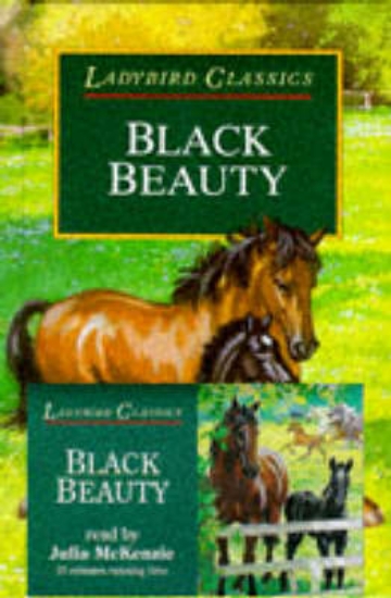 Picture of Black Beauty