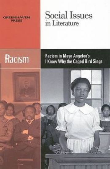 Picture of Racism in Maya Angelou's I Know Why the Caged Bird