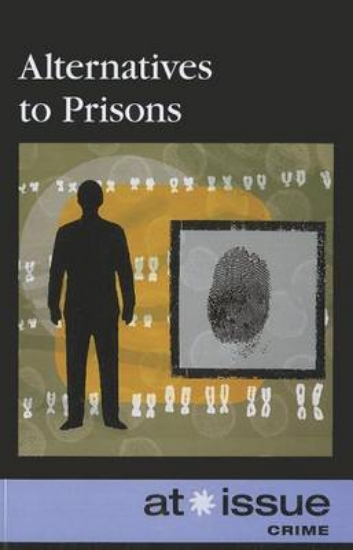 Picture of Alternatives to Prisons