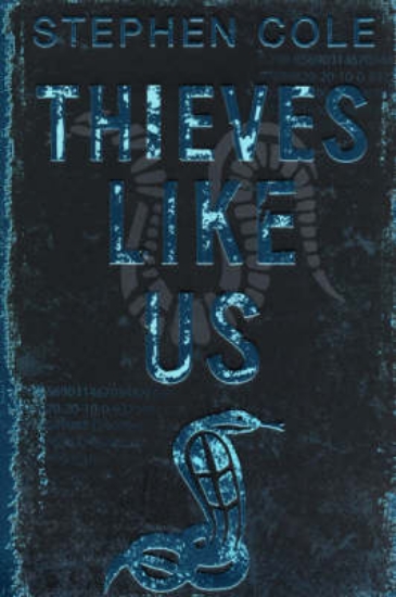 Picture of Thieves Like Us