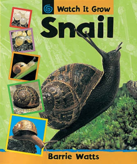 Picture of Watch It Grow:Snail