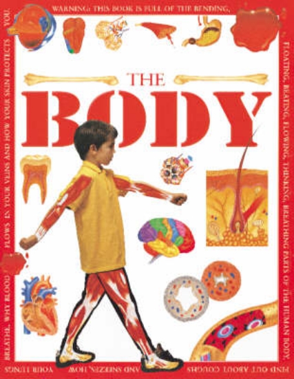 Picture of The Body