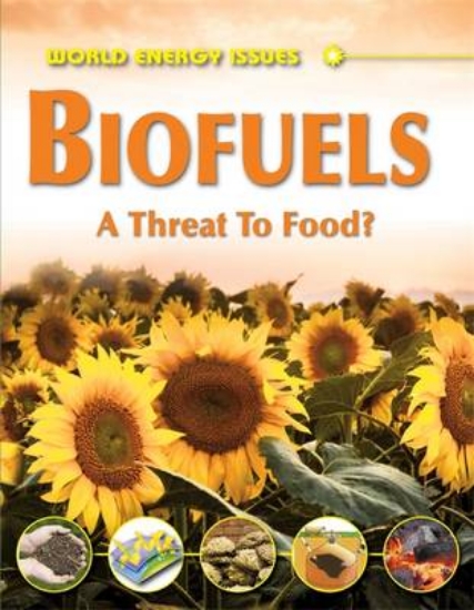 Picture of World Energy Issues: Biofuels - A Threat to Food?