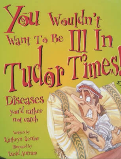Picture of You Wouldn't Want To Be: Ill in Tudor Times