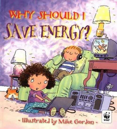 Picture of Why Should I: Save Energy?
