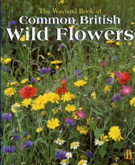 Picture of Wayland Book of: Common British Wild Flowers