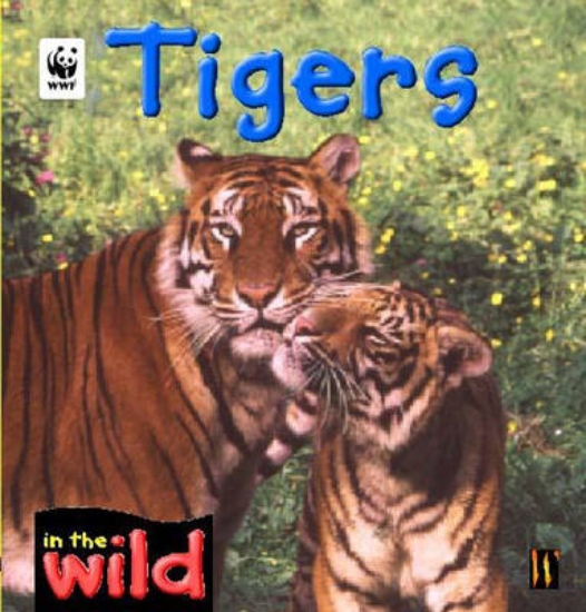 Picture of Tigers