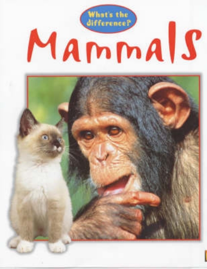 Picture of What's The Difference?: Mammals