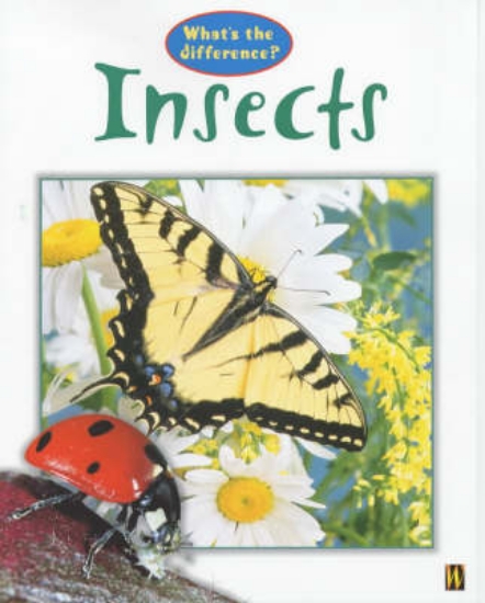 Picture of What's The Difference?: Insects