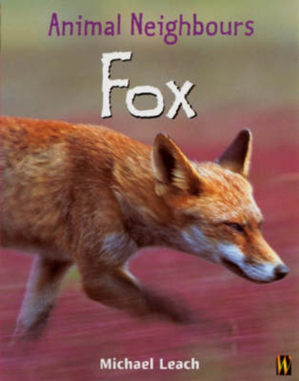 Picture of British Animals: Fox