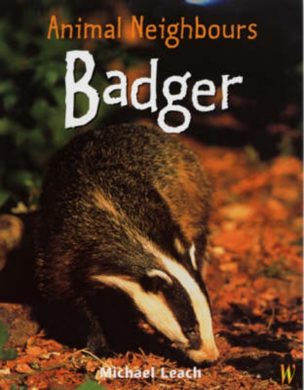 Picture of British Animals: Badger