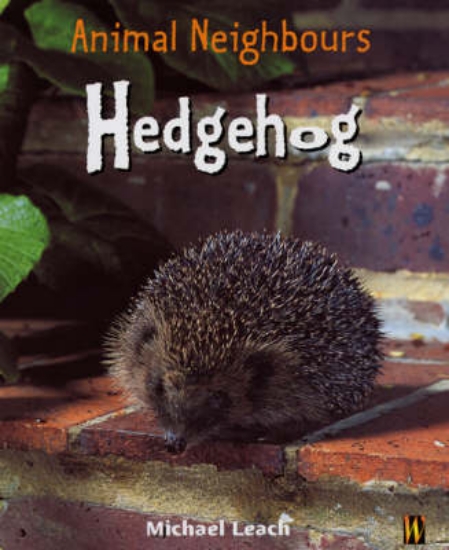 Picture of British Animals: Hedgehog