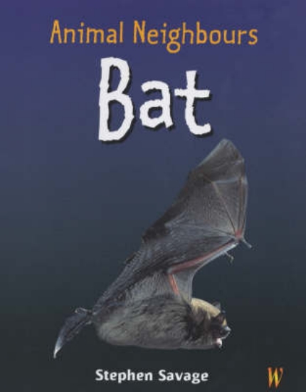 Picture of British Animals: Bat