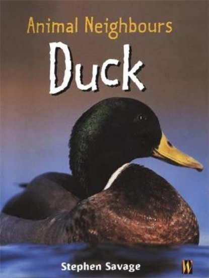 Picture of British Animals: Duck