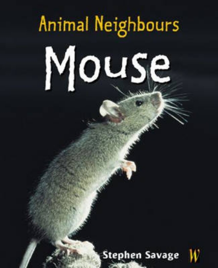 Picture of British Animals: Mouse