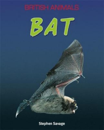 Picture of British Animals: Bat