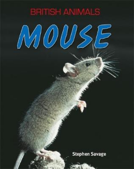 Picture of British Animals: Mouse