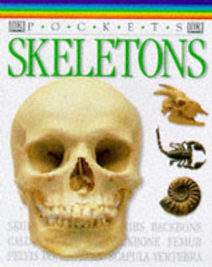 Picture of Pockets Skeletons