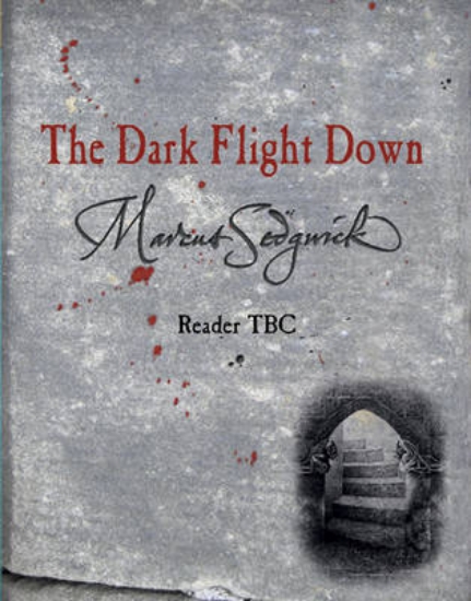 Picture of The Dark Flight Down