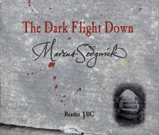 Picture of The Dark Flight Down