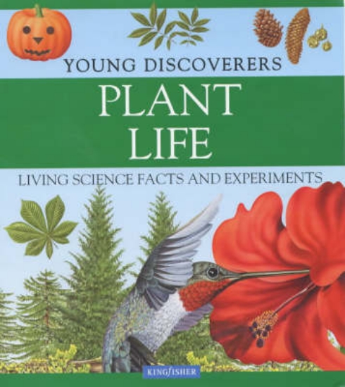 Picture of Plant Life
