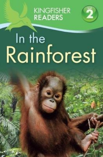 Picture of Kf Readers: In The Rainforest Lvl 02