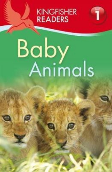 Picture of Baby Animals