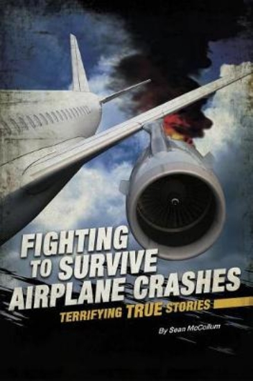 Picture of Airplane Crashes