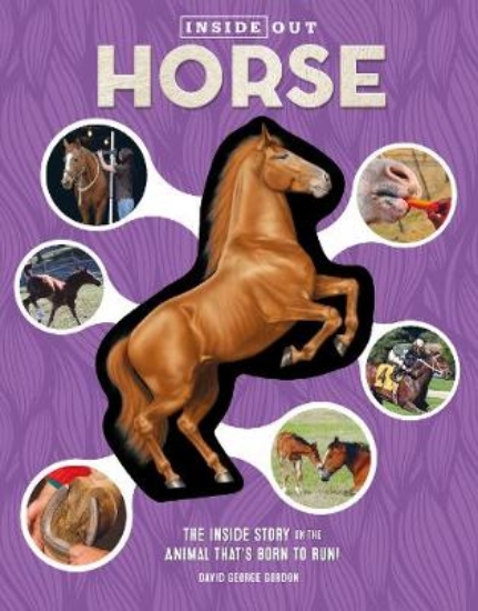 Picture of BAM Inside Out Horse