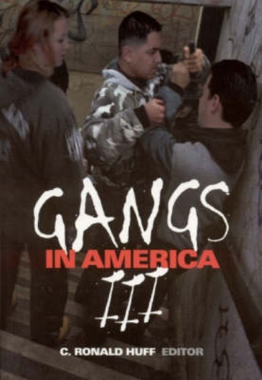 Picture of Gangs in America III