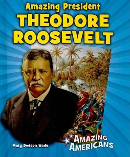 Picture of Amazing President Theodore Roosevelt