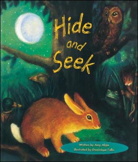 Picture of Storyteller Lap Books, Hide and Seek