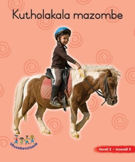 Picture of Hand In Hand Grade R (Ndebele) Picture Bk Level 2