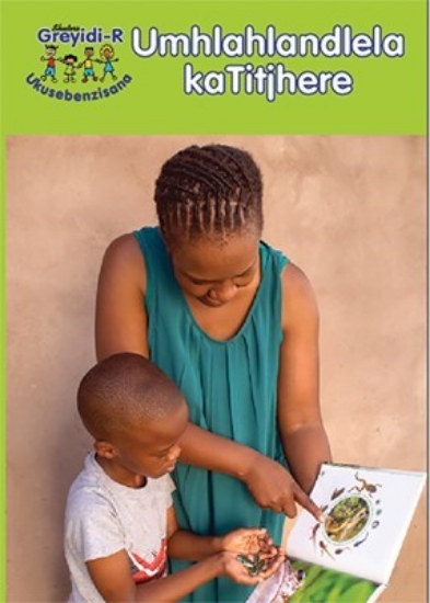 Picture of Hand In Hand Grade R (Ndebele) Teacher'S Guide
