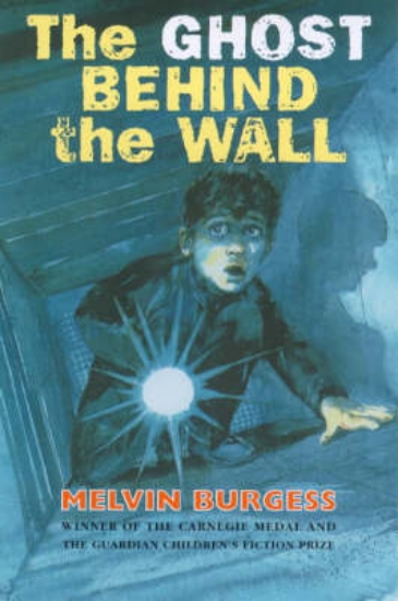 Picture of The Ghost Behind the Wall