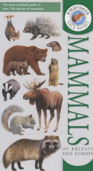 Picture of Field Guide to the Mammals of Britain and Europe