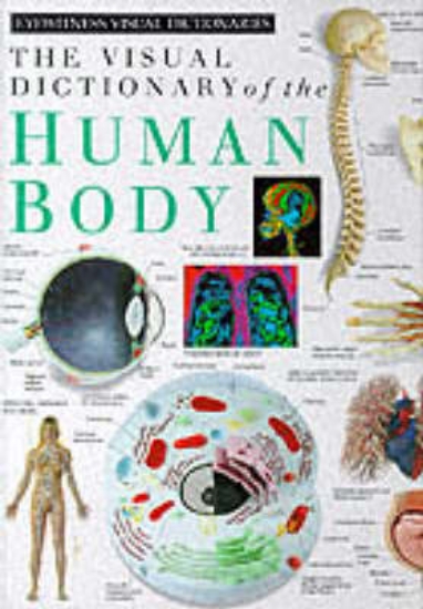 Picture of Eyewitness Visual Dictionary: 02 Human Body