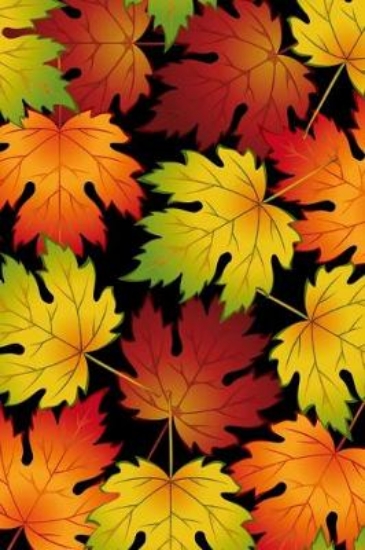 Picture of Colorful Autumn Leaves Falling Journal Notebook