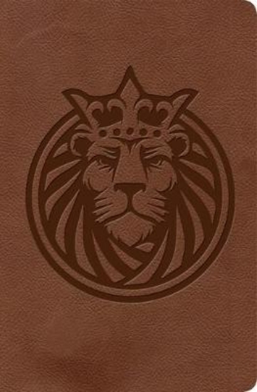 Picture of KJV Kids Bible, Lion LeatherTouch
