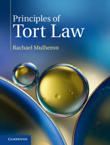 Picture of Principles of Tort Law