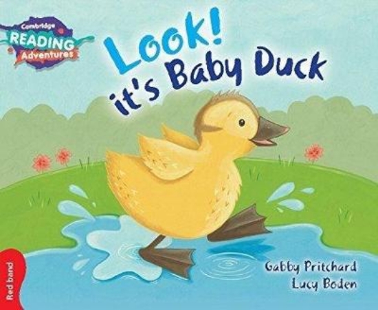 Picture of Red Look! it’s Baby Duck