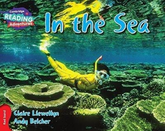 Picture of Red In the Sea