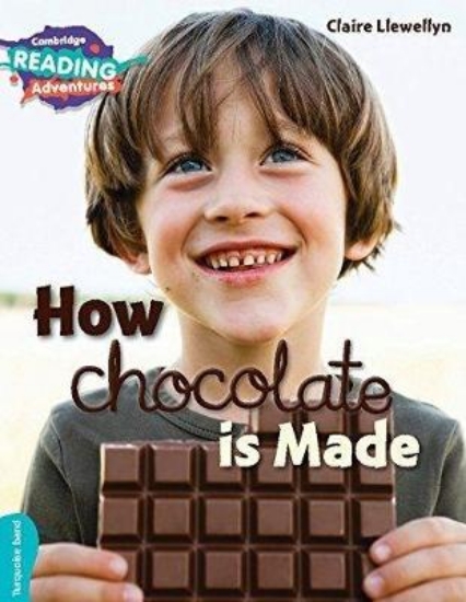 Picture of Turquoise How Chocolate is Made