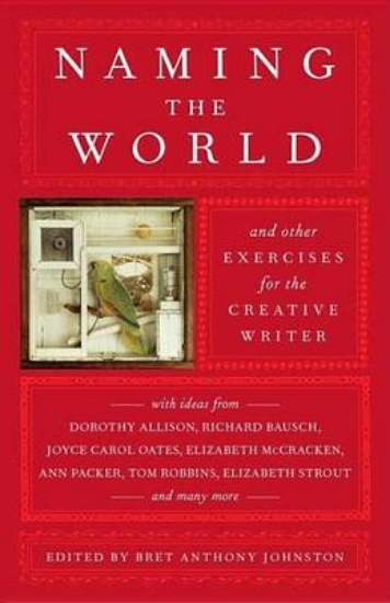 Picture of Naming the World: And Other Exercises for the Crea