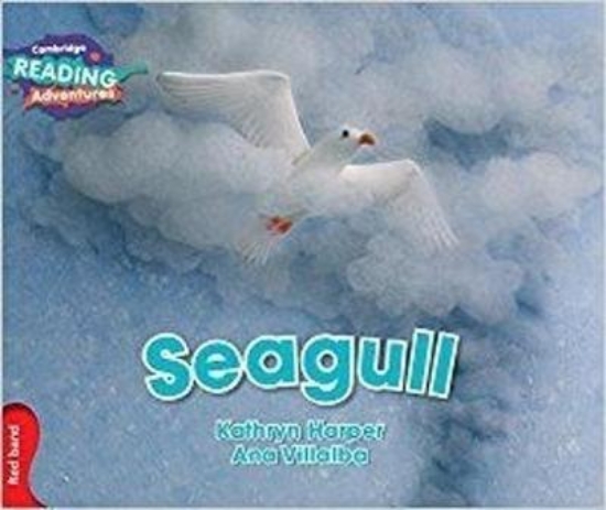 Picture of Red Seagull