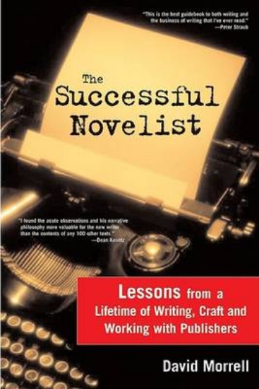 Picture of The Successful Novelist