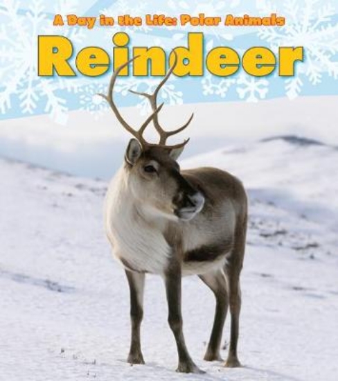 Picture of Reindeer