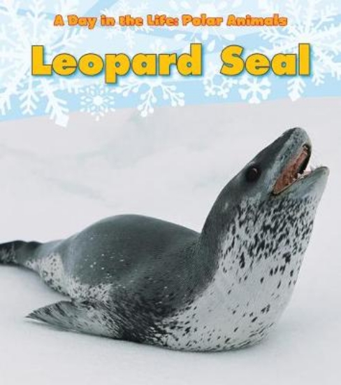 Picture of Leopard Seal