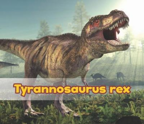 Picture of Tyrannosaurus Rex